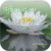 Affirmations - Success