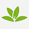 PlantNet (Lien AppStore) 